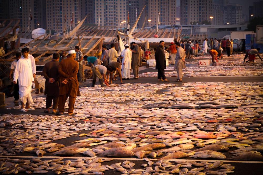Фото рыбного рынка в ОАЭ