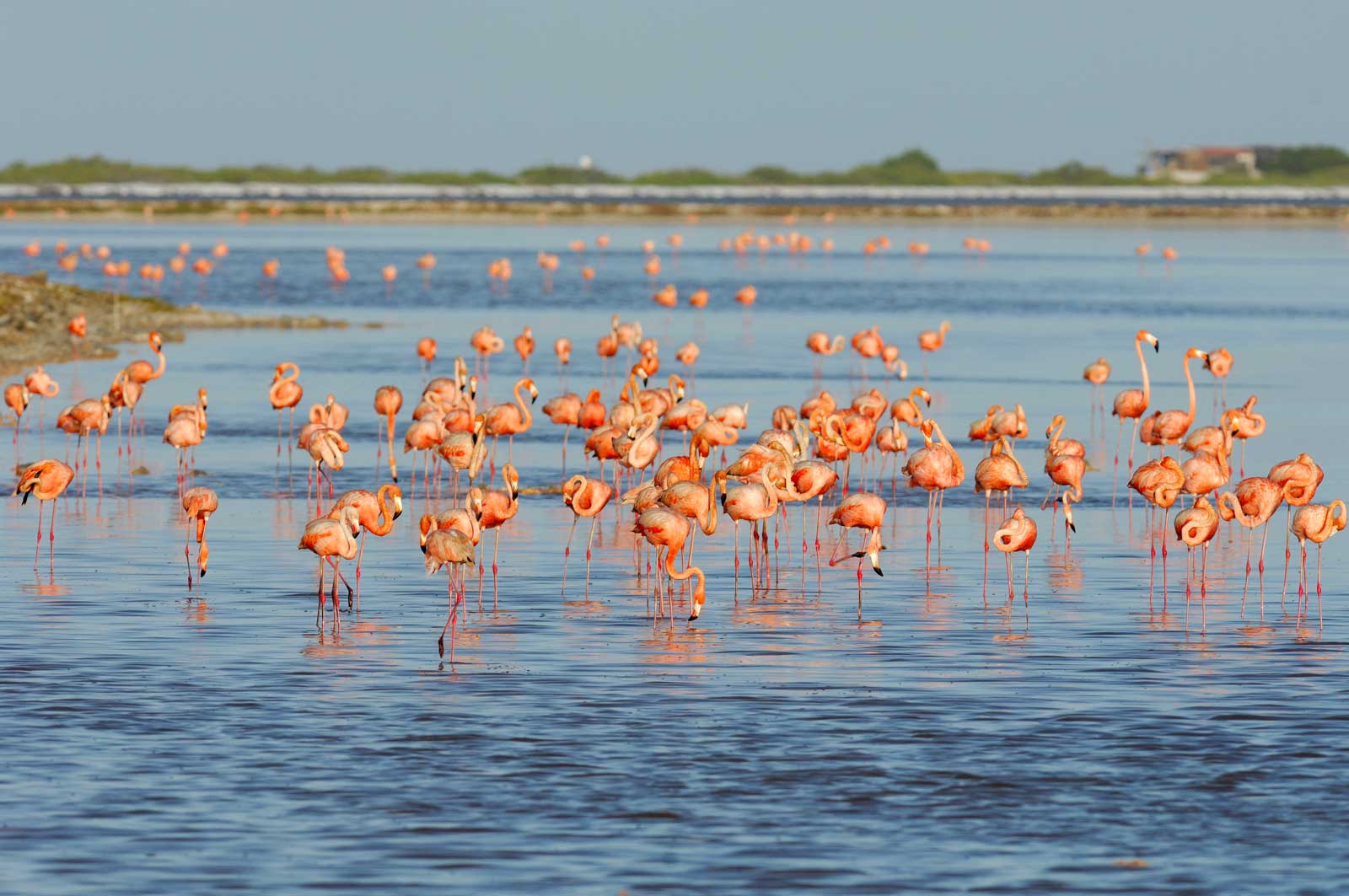 Национальный мангровый парк: фото