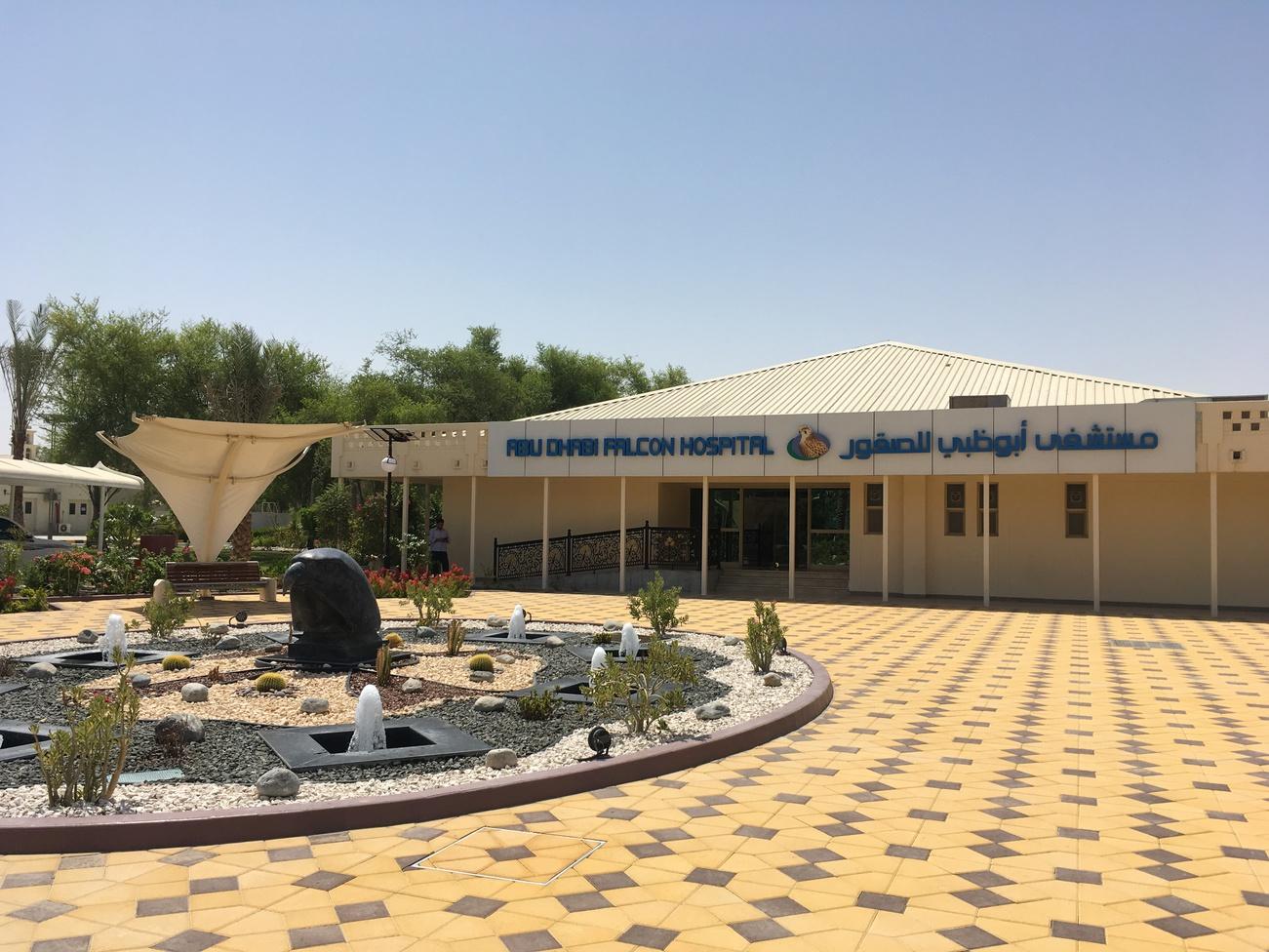 Соколиный госпиталь в Абу-Даби