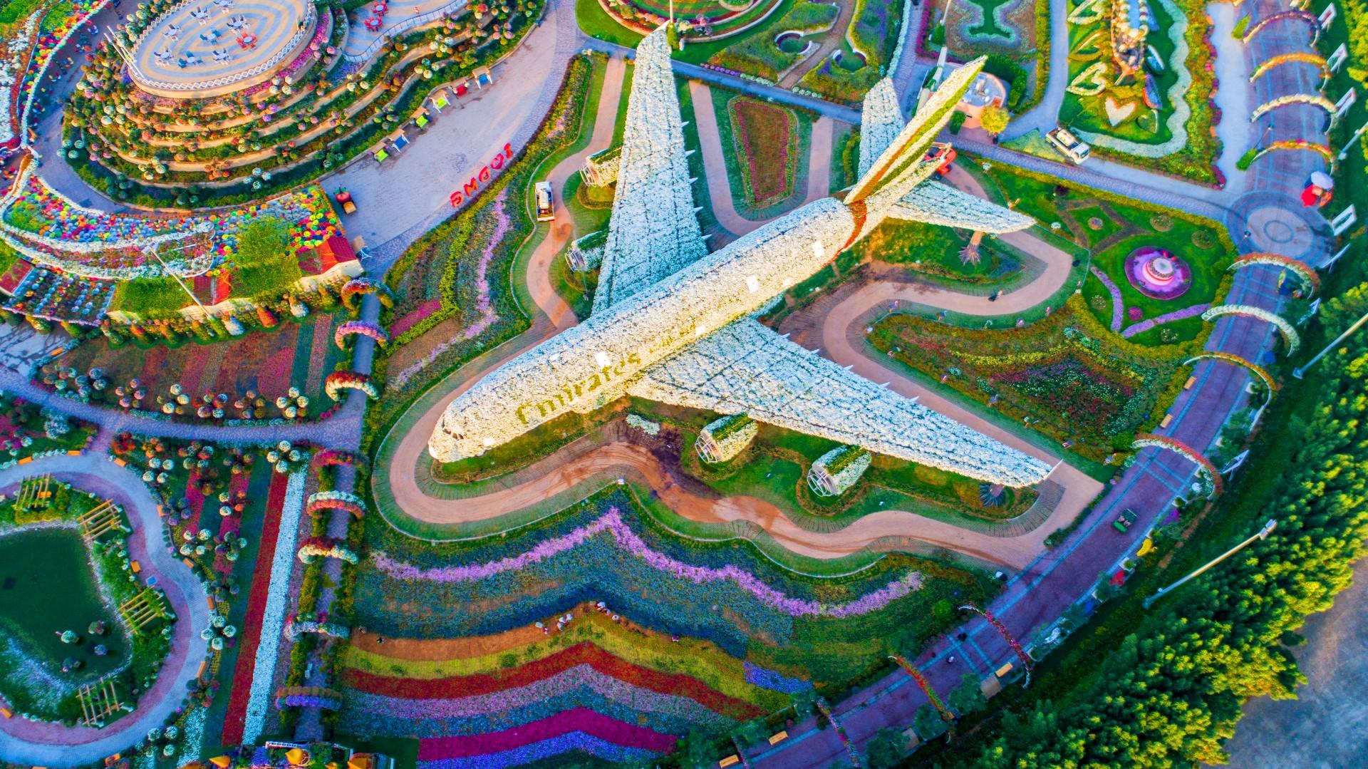 Фото самолета в парке цветов