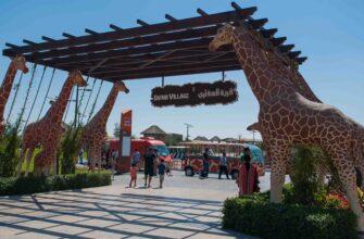 В ОАЭ появился новый туристический объект - сафари парк