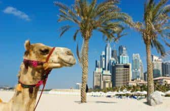 Авиакомпания Emirates запустила бонусную программу для туристов