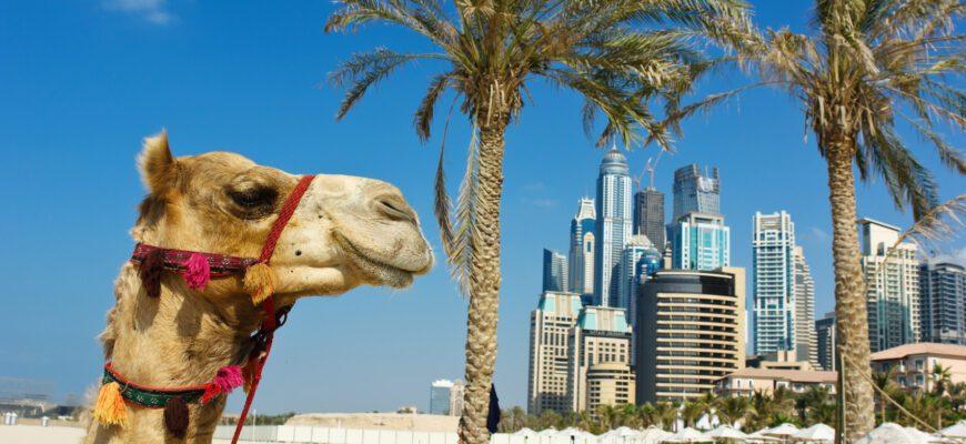 Авиакомпания Emirates запустила бонусную программу для туристов