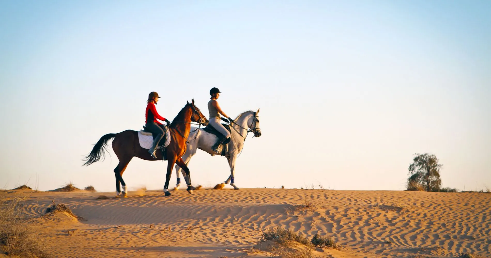 Необыкновенное приключение ждет вас в Абу-Даби! Окунитесь в мир аравийской культуры и пройдите верховую прогулку на скакунах.