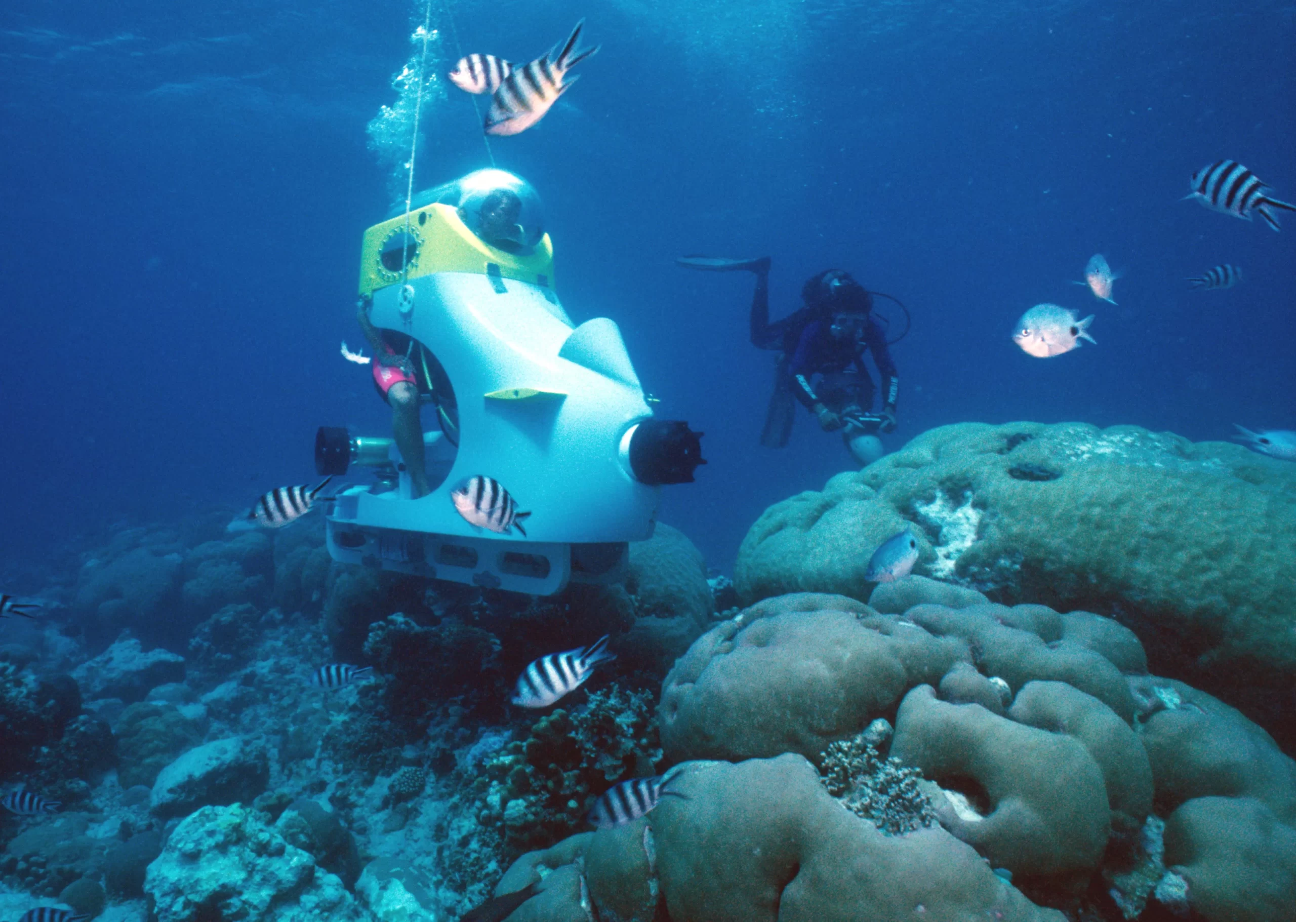 Отправьтесь в морское приключение на катамаране и исследуйте подводный мир ОАЭ.
