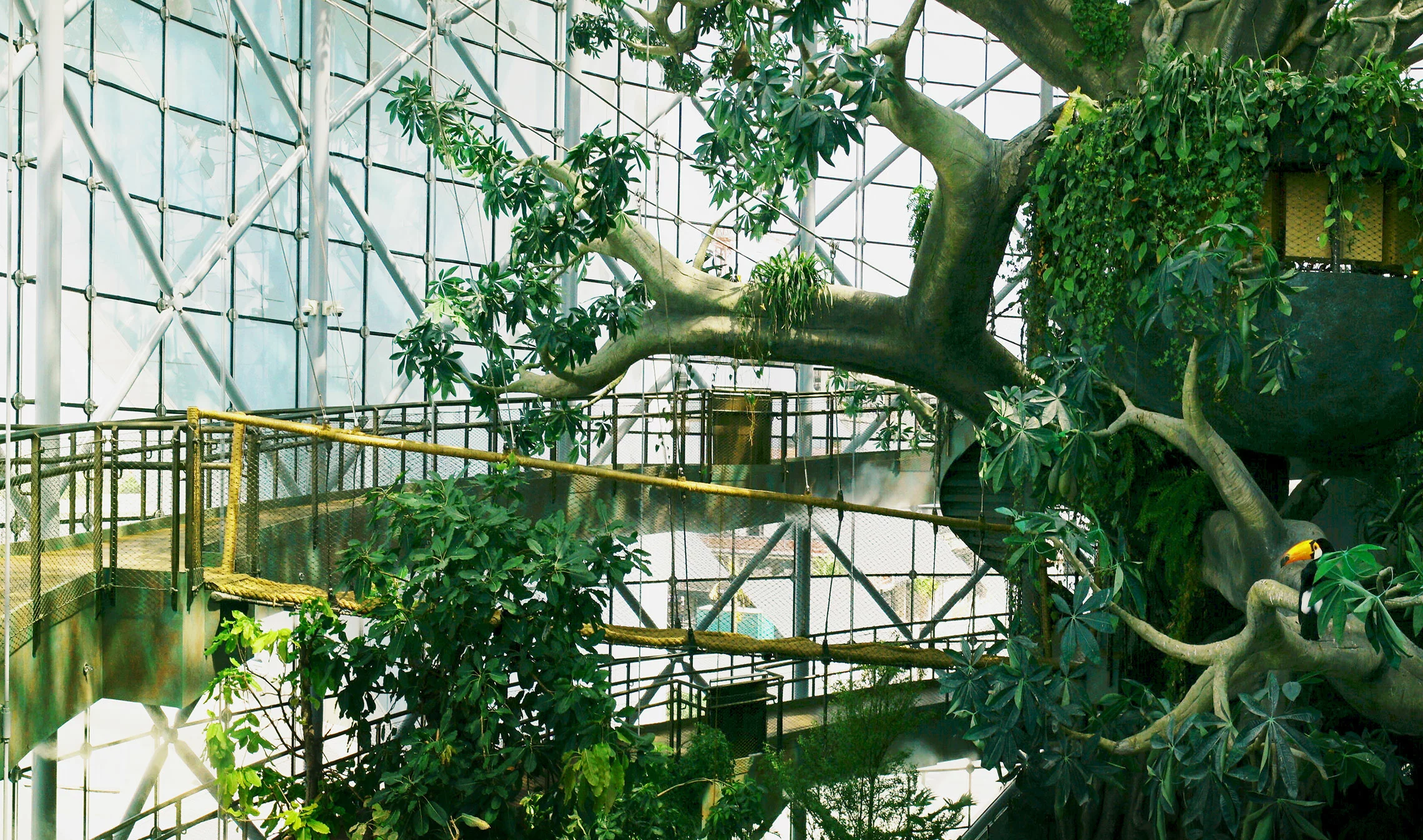 Музей зеленой планеты: удивительная экскурсия по миру растительности ОАЭ.