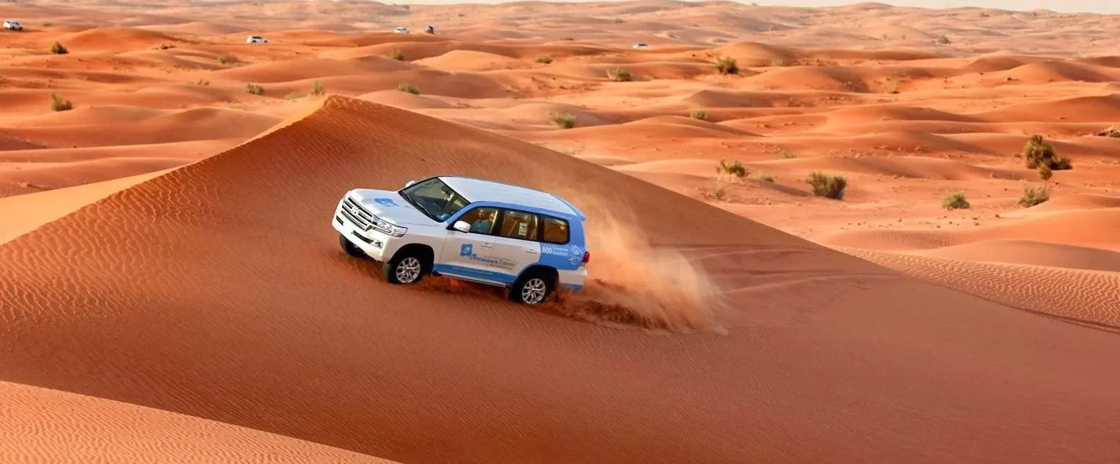 Дубайское сафари - это не только езда на джипах и песчаных дюнах, но и увлекательные шоу и угощения.