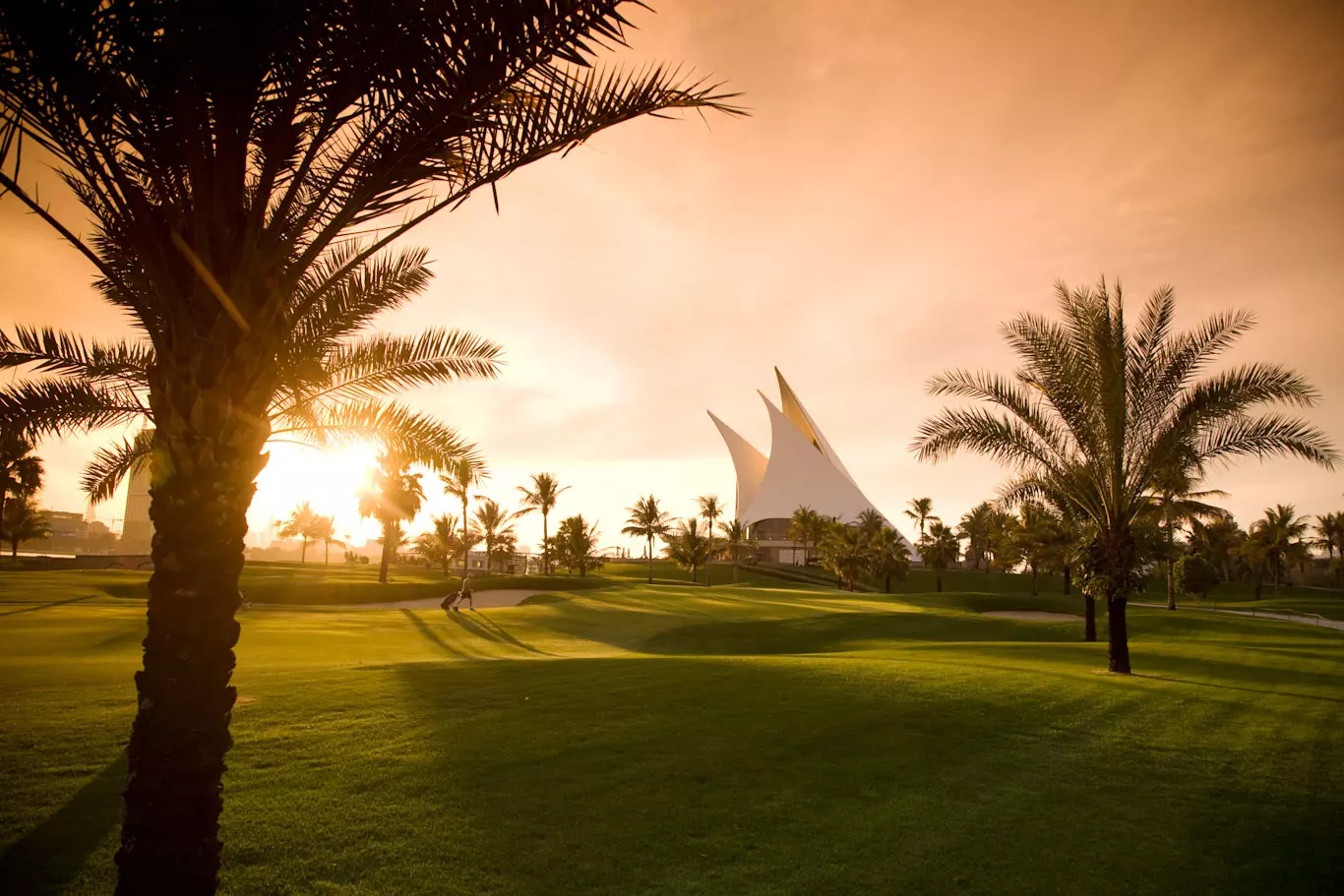 Шикарные поля для гольфа Дубай