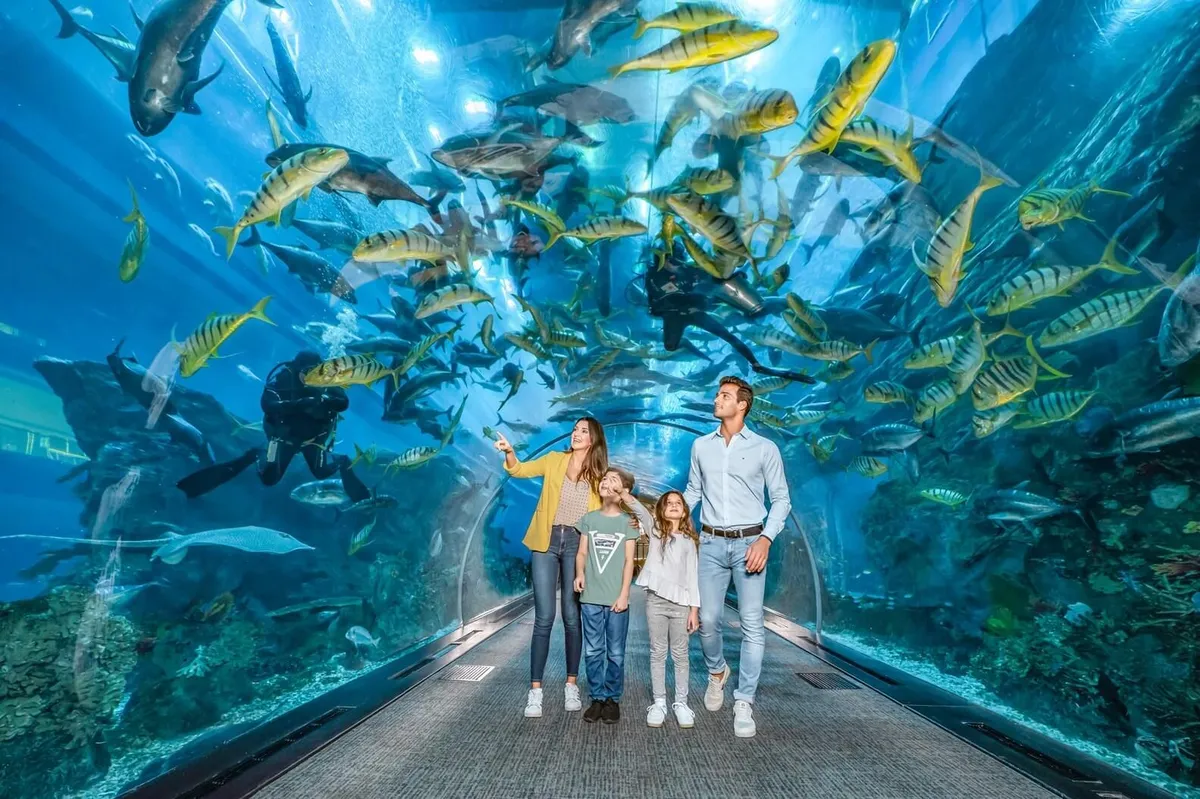 Мир аквариумов в The Dubai Mall в Дубае